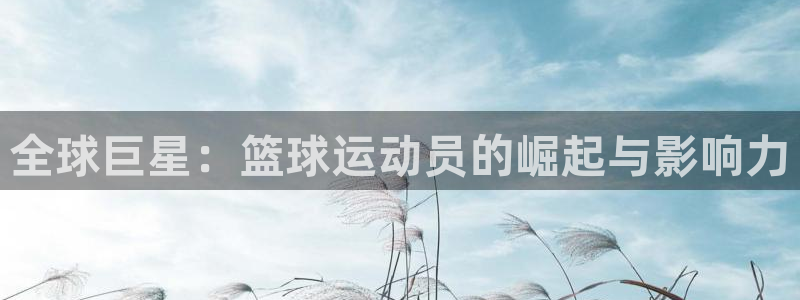 世界杯预选赛排名:全球巨星:篮球运动员的崛起与影响力