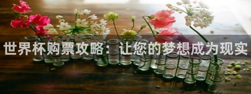 世界杯女足直播:世界杯购票攻略:让您的梦想成为现实