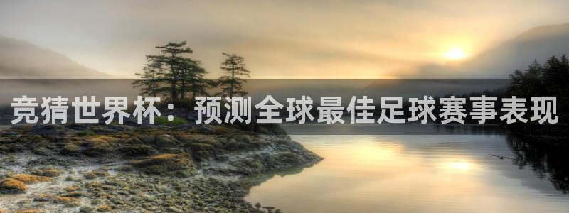 2026世界杯南美区积分榜:竞猜世界杯:预测全球最佳足球赛事表现