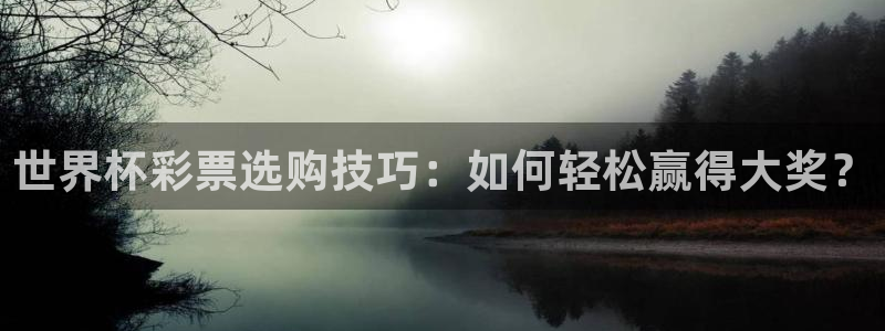世界杯决赛圈球队:世界杯彩票选购技巧:如何轻松赢得大奖?