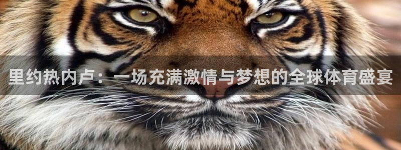女足世界杯直播在线观看免费高清:里约热内卢:一场充满激情与梦想的全球体育盛宴