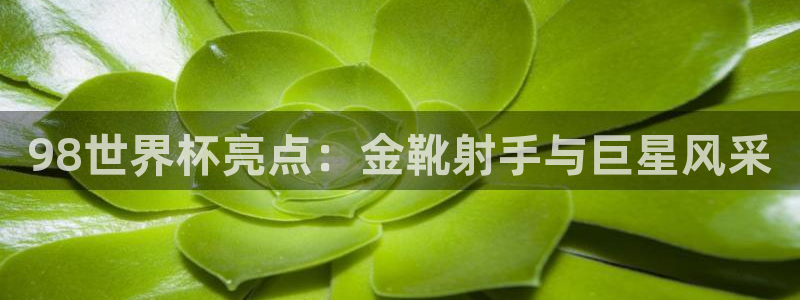 世界杯比赛赛程:98世界杯亮点:金靴射手与巨星风采