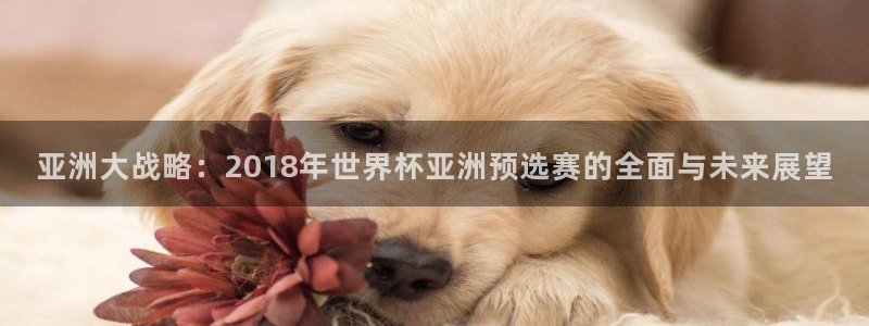 足球世界杯赛程:亚洲大战略:2018年世界杯亚洲预选赛的全面与未来展望